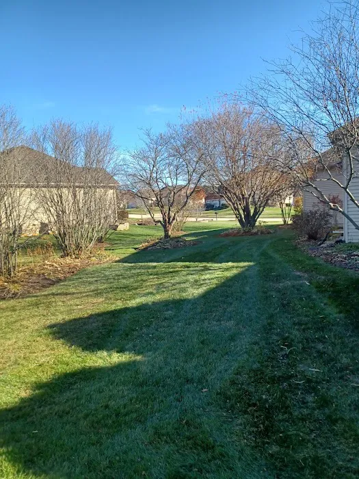 J.Bello Landscaping & lawn care -we have insurance Picture 9