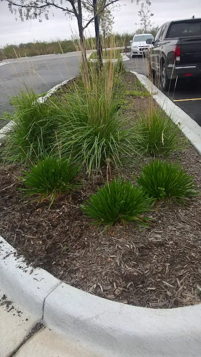 J.Bello Landscaping & lawn care -we have insurance Picture 4