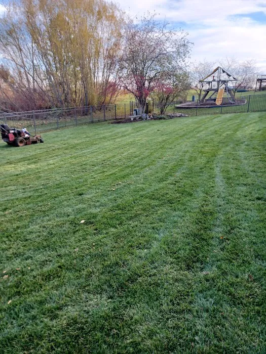 J.Bello Landscaping & lawn care -we have insurance Picture 10