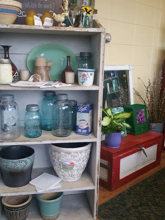 The Garden Market Sycamore Picture 9