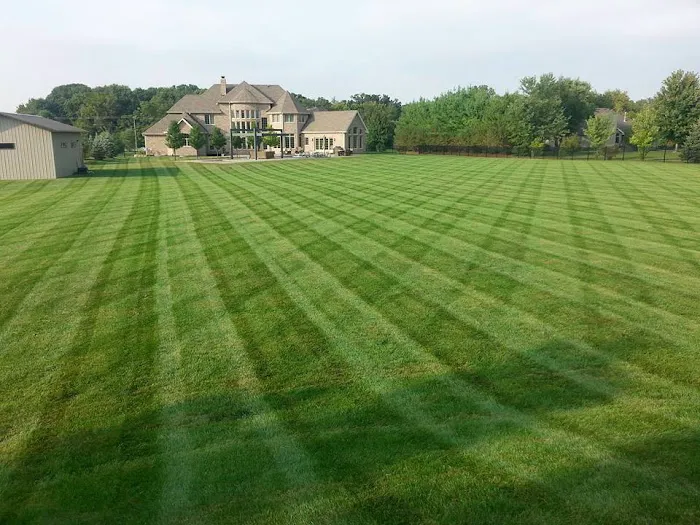 Rigo Alvarez Landscaping Corp. Picture 10