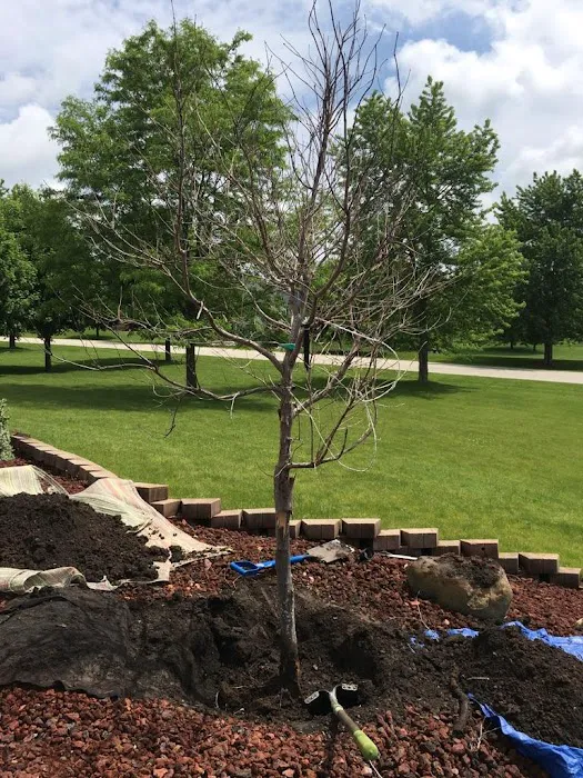 Apple Leaf Landscaping Co. Picture 4