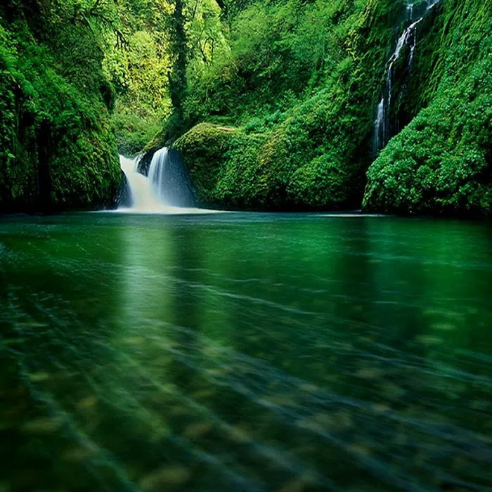 Landscapes By Gary Weiss Picture 1
