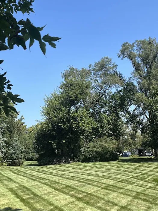 Green Planet Landscaping Picture 3
