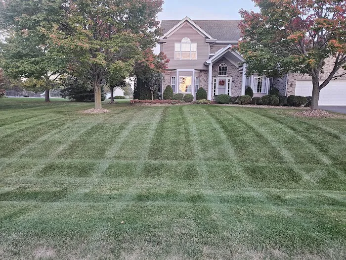 ALC Landscaping & Construction Picture 7
