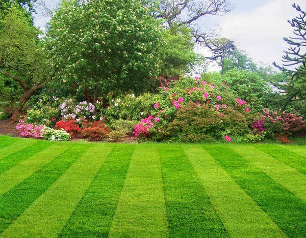 Green Life Landscape Corporation Picture 6