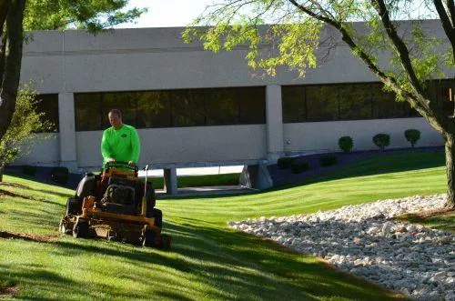 Royal Gardens Landscaping Picture 2