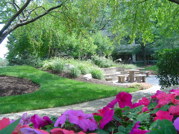 Sebert Landscape Picture 3