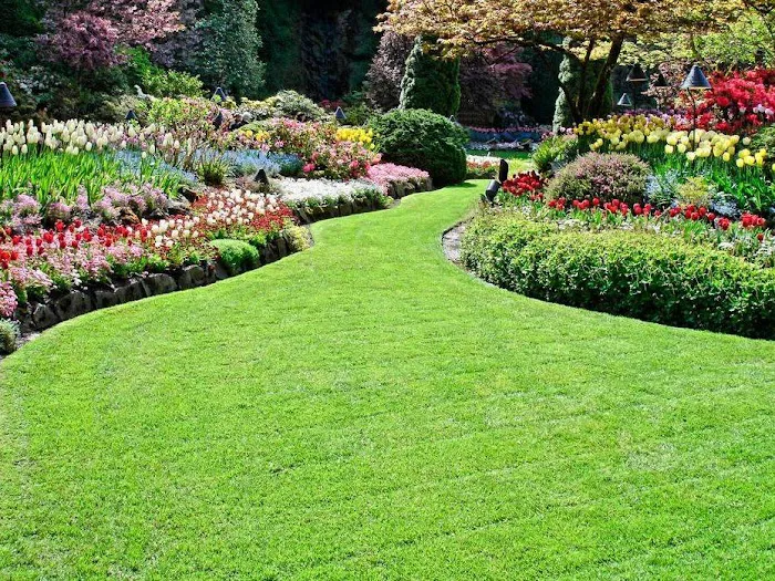 Rafael Landscaping Picture 8