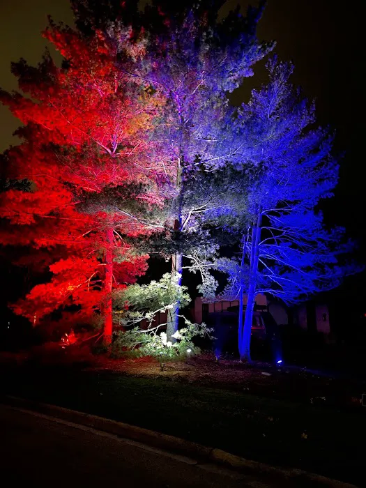 LightQuest Outdoor Illumination Picture 4