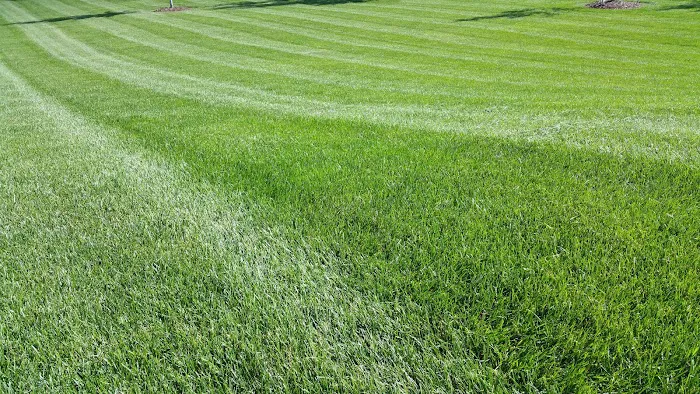 Zach's Lawn Care Picture 6