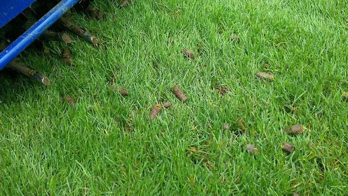 Zach's Lawn Care Picture 5