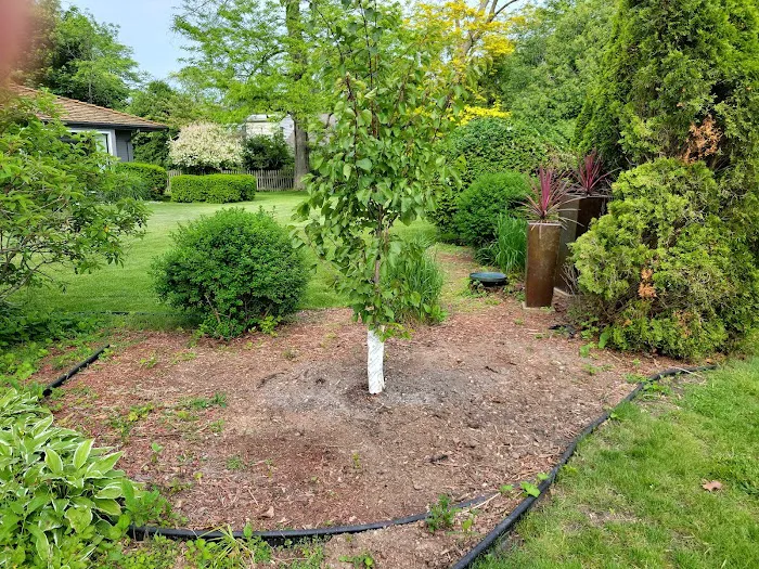 Prairie Ridge Lawn Service Picture 9