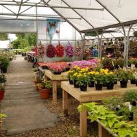 S & S Landscaping & Nursery ico