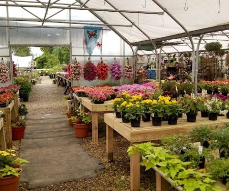S & S Landscaping & Nursery