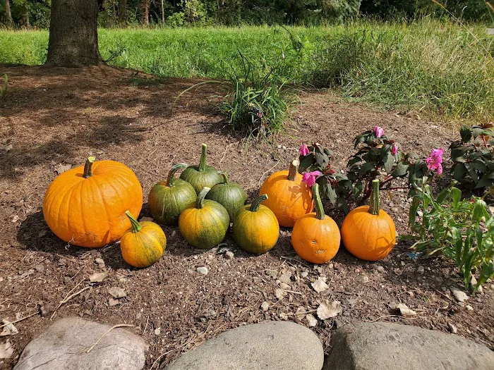 S & S Landscaping & Nursery Picture 4