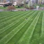 Moolenaar Supreme Professional Lawn Care Inc