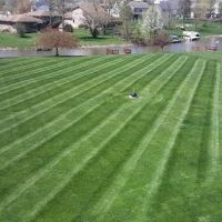 Moolenaar Supreme Professional Lawn Care Inc ico