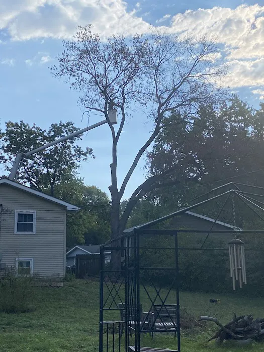 Culbreth's Lawn & Tree Picture 10