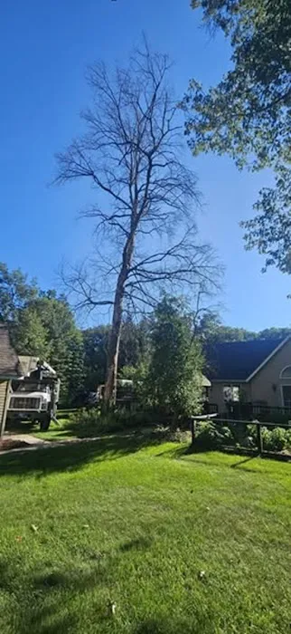 Culbreth's Lawn & Tree Picture 7