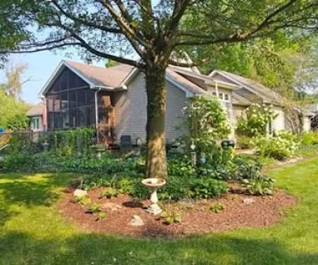 Culbreth's Lawn & Tree