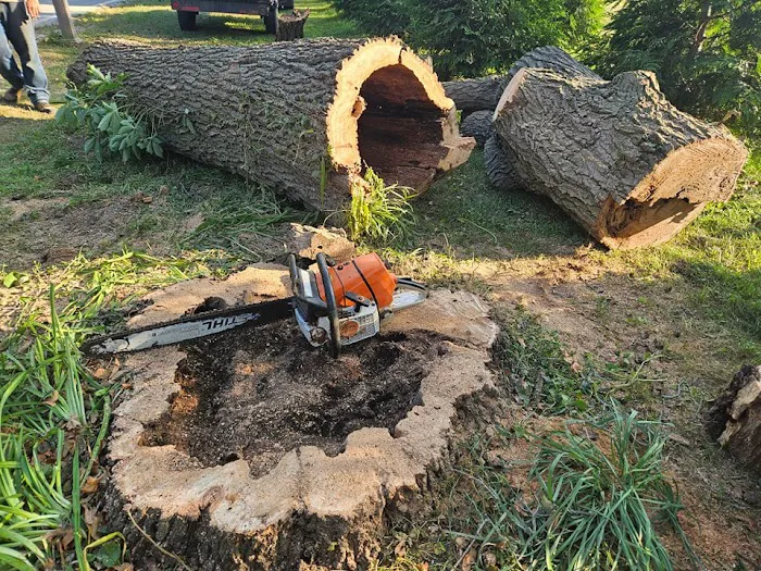 Culbreth's Lawn & Tree Picture 4