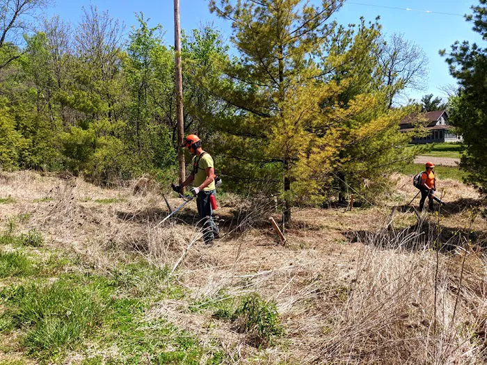 Pizzo Habitat Restoration Picture 6
