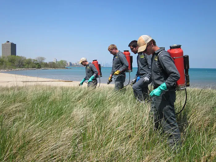 Pizzo Habitat Restoration Picture 7