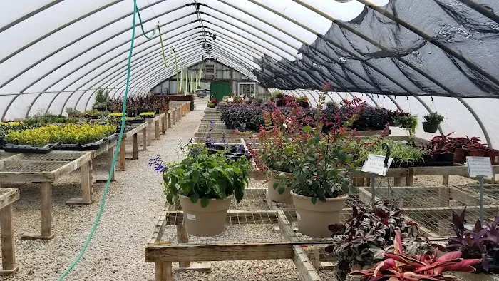 That Perennial Place Picture 5