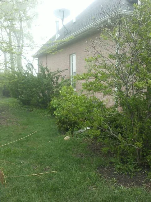 TLC Trotter Landscape Company Picture 1