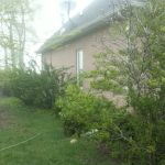 TLC Trotter Landscape Company