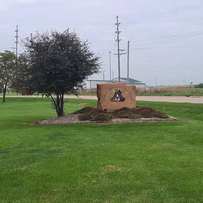 TLC Trotter Landscape Company Picture 5