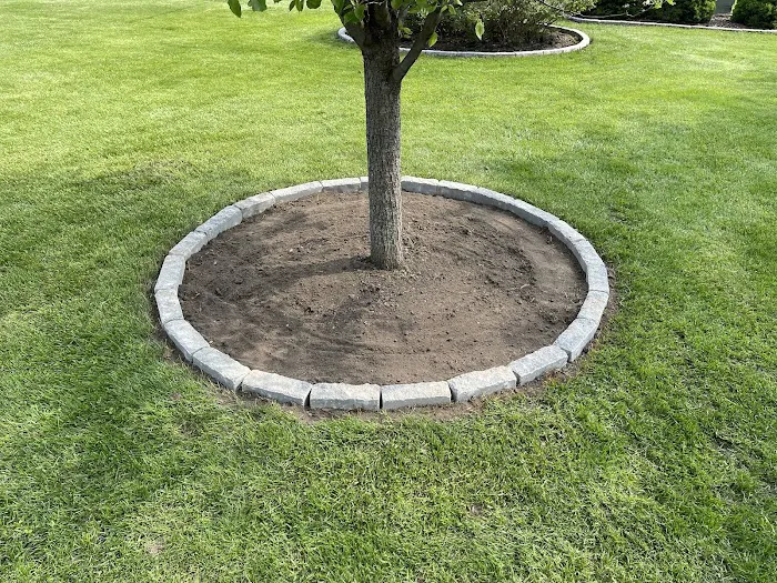 Castillo Landscaping Inc Picture 9