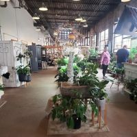 Blumen Gardens ico