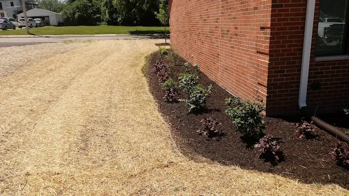 Lawn Maintenance Services Picture 9