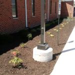 Lawn Maintenance Services