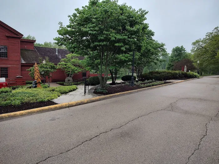 Lawn Maintenance Services Picture 2