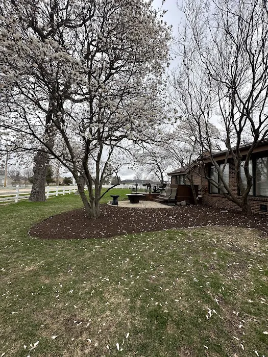 Nico's Landscaping Picture 2
