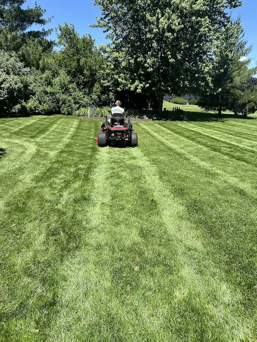 Nico's Landscaping Picture 7