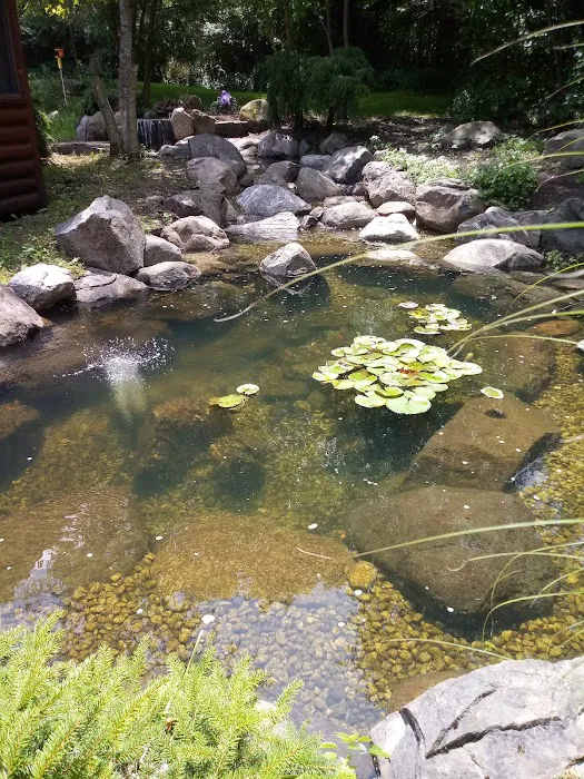 Waterfalls and Landscaping Co. Picture 8