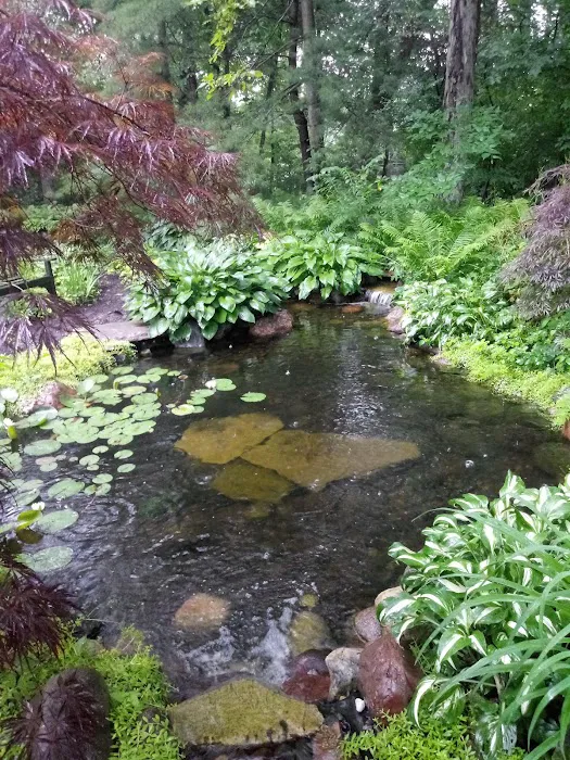 Waterfalls and Landscaping Co. Picture 9