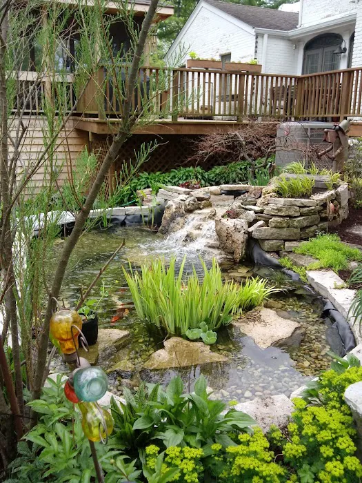 Waterfalls and Landscaping Co. Picture 5