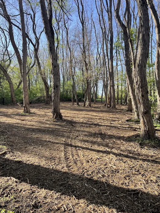 Clear Cut Pros, LLC Picture 10
