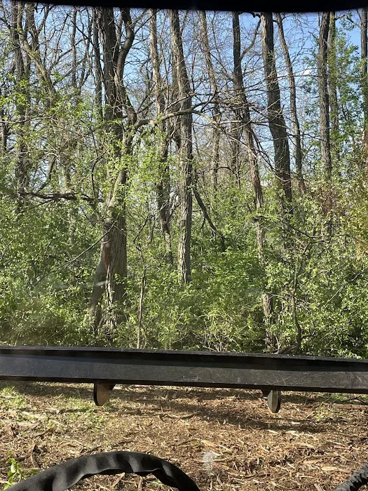 Clear Cut Pros, LLC Picture 3