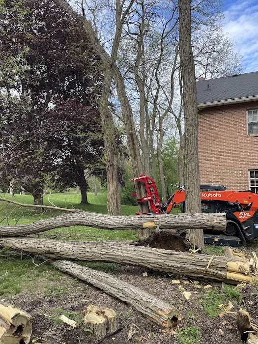 Clear Cut Pros, LLC Picture 9