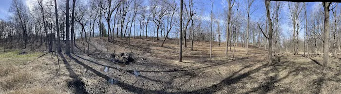 Clear Cut Pros, LLC Picture 8
