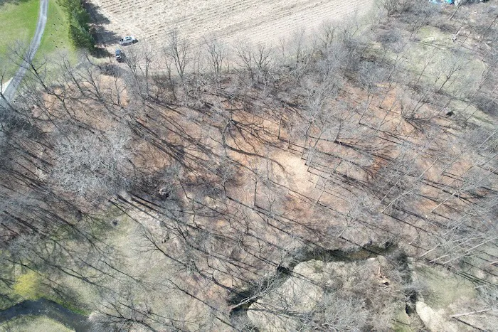 Clear Cut Pros, LLC Picture 5