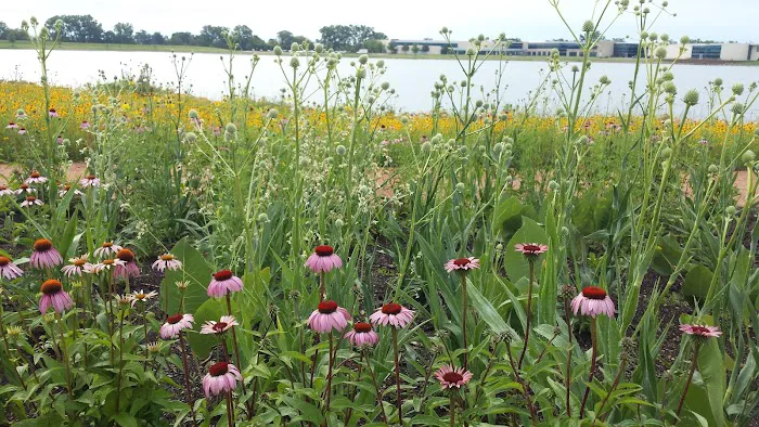 Bluestem Ecological Services Picture 1