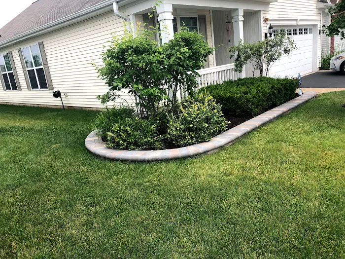 V. Bolanos Landscaping Picture 7