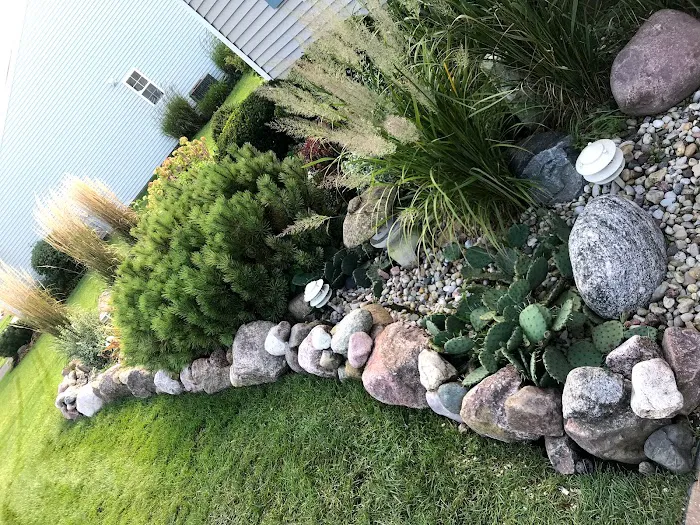 V. Bolanos Landscaping Picture 8